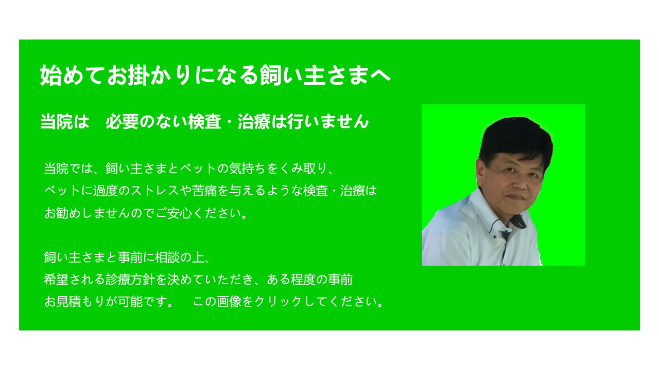 新しい飼い主さまへ